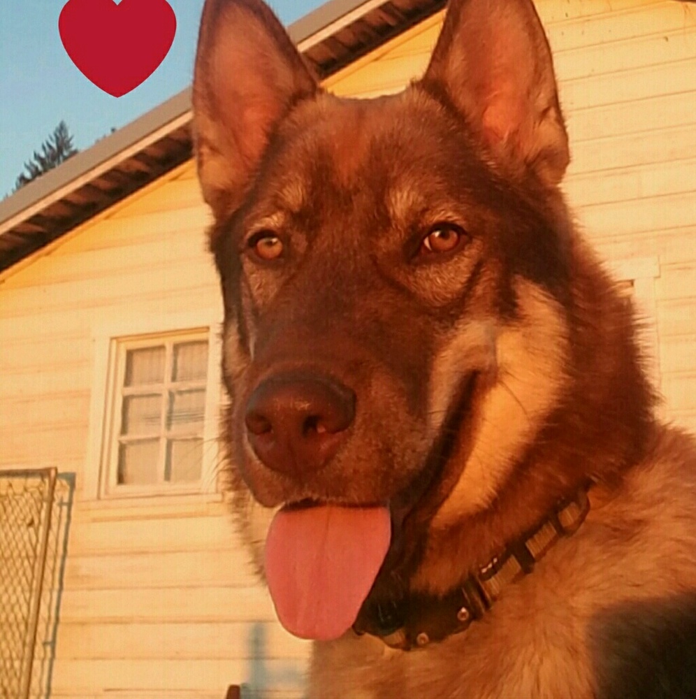 Meet your Posher, Nikki